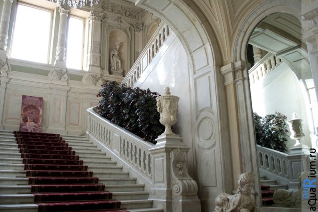 СПб глазами уставшего туриста...