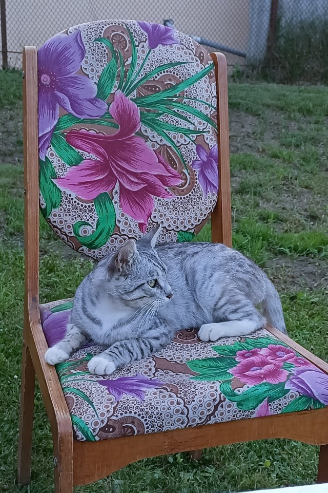 КотоФторник 23.08.22