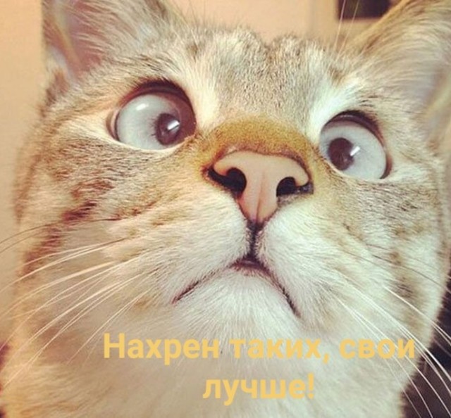 В России заканчиваются чипсы Pringles