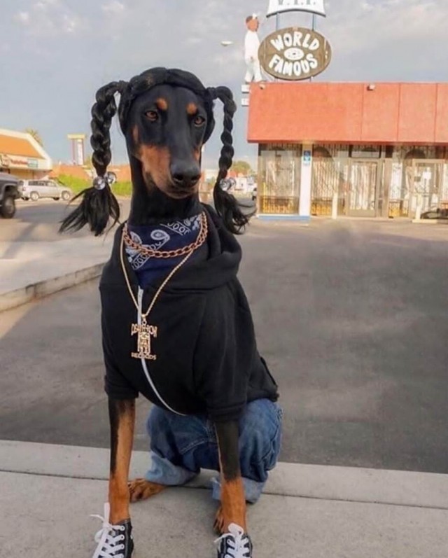 Snoop Dogg
