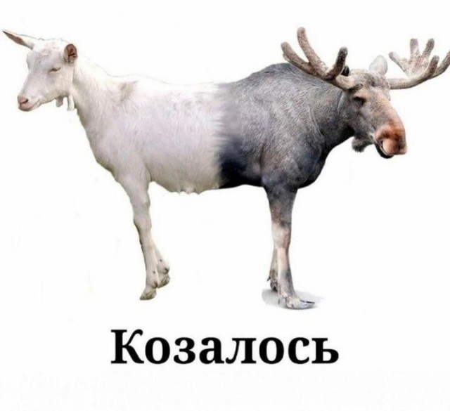 Так себе картинки 22.01.24