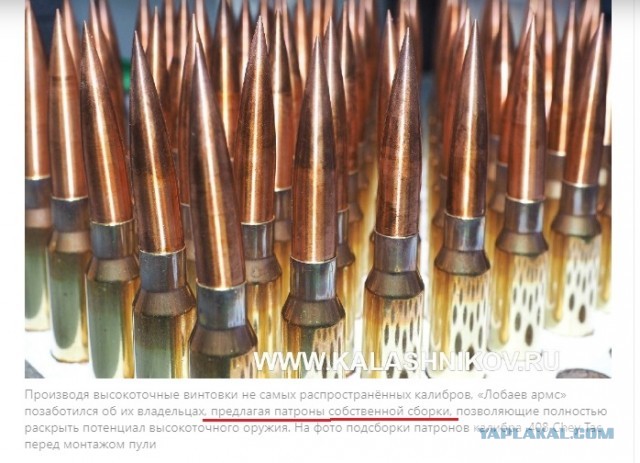 Выстрел из-за горизонта: четыре винтовки, которые реально удивляют