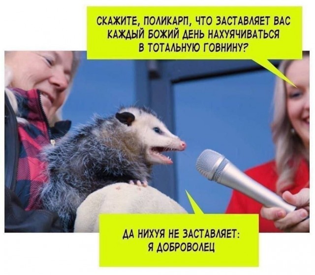 Баяны, возможно с мезозоя