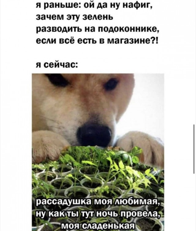 33 смешных картинки, которые понимаешь только с возрастом (30+)