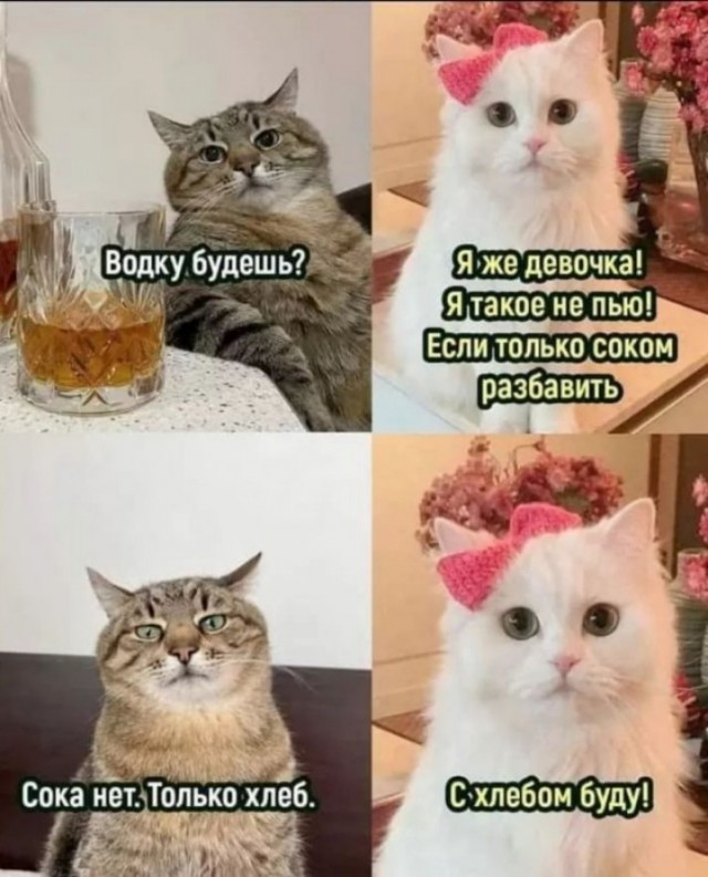 Знай место рыжая морда