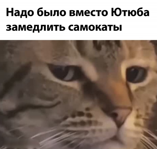 Так себе картинки 22.08.24