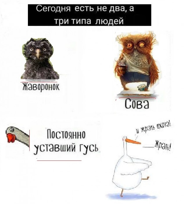 Картинки разные с надписями и без
