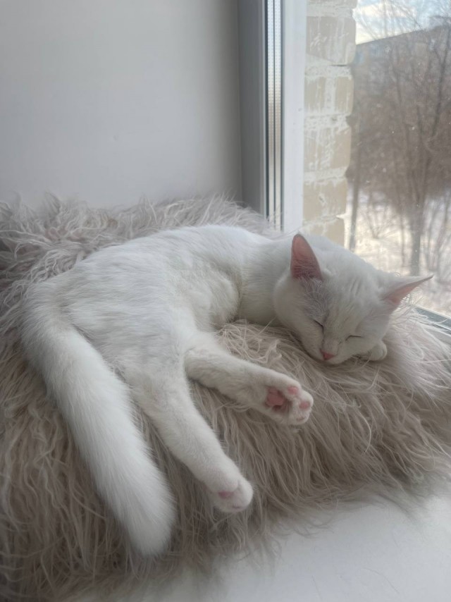 Из замарашки в милашку