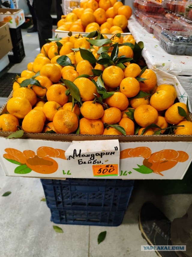 Цена мандаринов в Обнинске