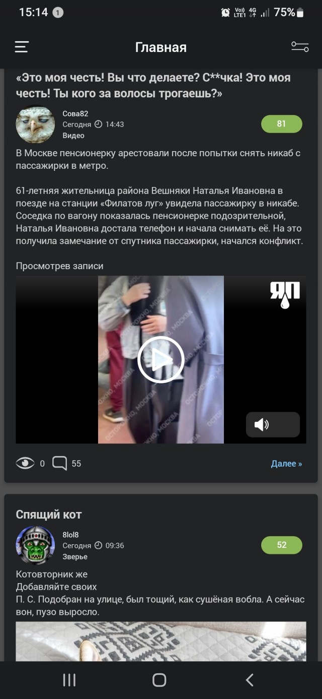 Новый этап защиты конституционности