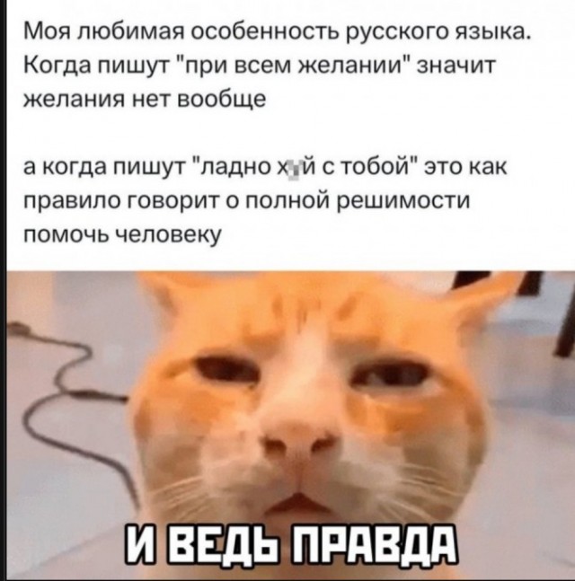 Так себе картинки 11.05.25