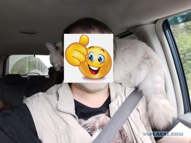 На дачу с другом!