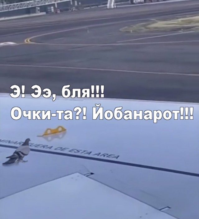 Прощай любимый!