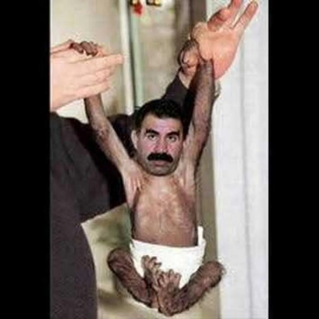 Обычный кандидат в депутаты