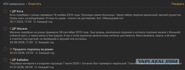 Котовторник. Где коты? Мой вот!
