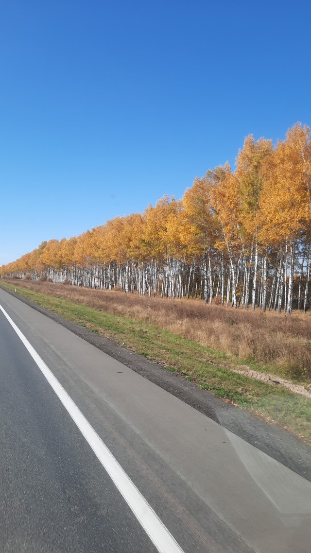 Золотая осень