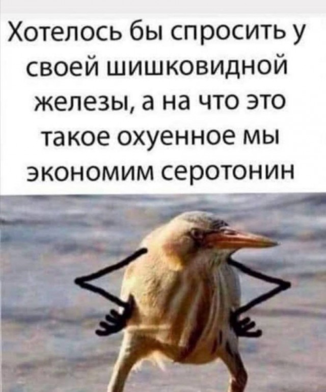 Депрессивный дегрономикон 2