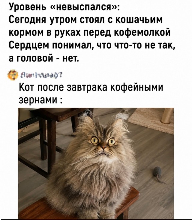 Веселые картинки в четверг (кагбы пятницо) (11.06)