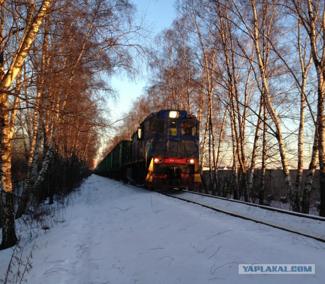 Лучшие железнодорожные фото