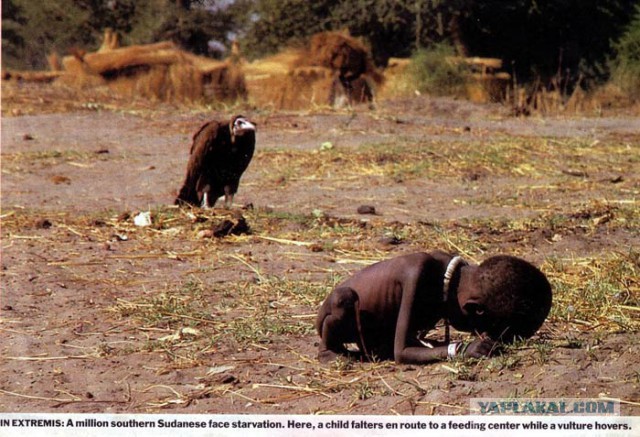 Убийство за фотографии