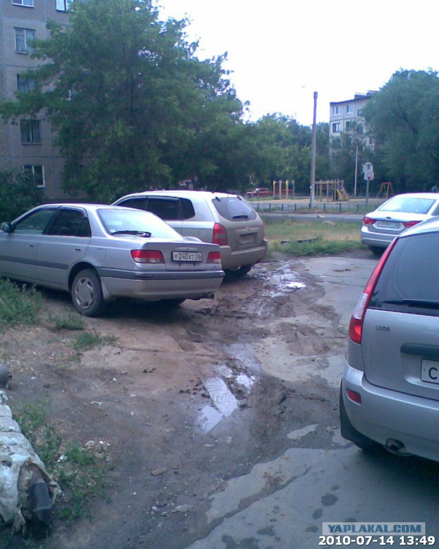 Мудаки и газоны