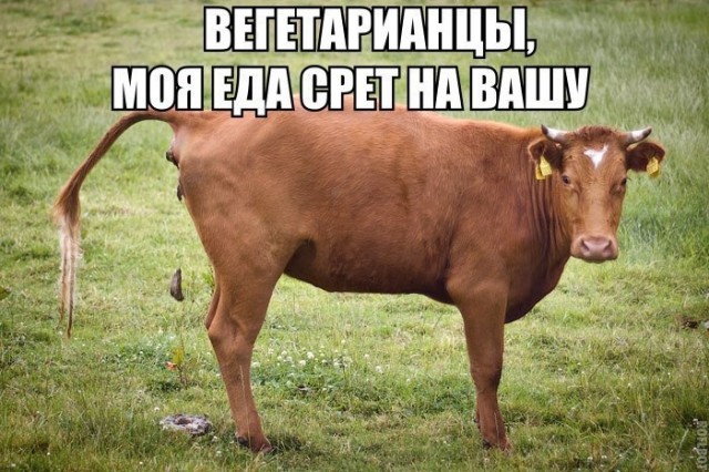 Смешные картинки