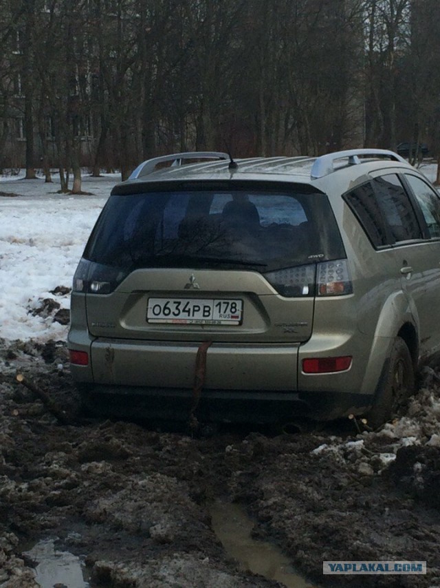 Настоящий газонный вредитель на Митсу