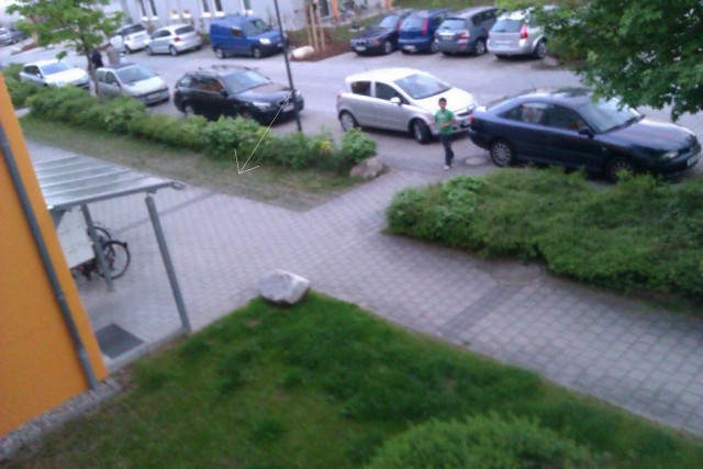 Как в Москве воруют газоны,