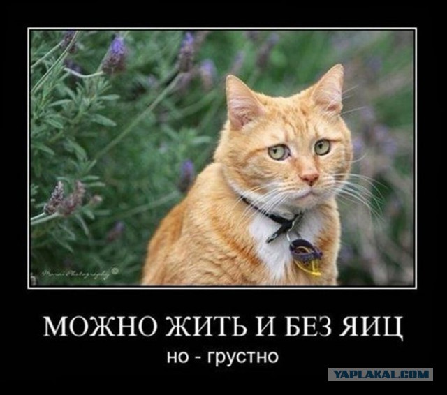 Как быть ?