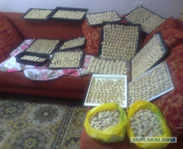 Студенческий запас