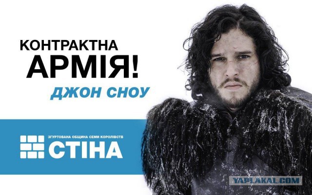 Выборы-выборы! Кандидаты... молодцы.