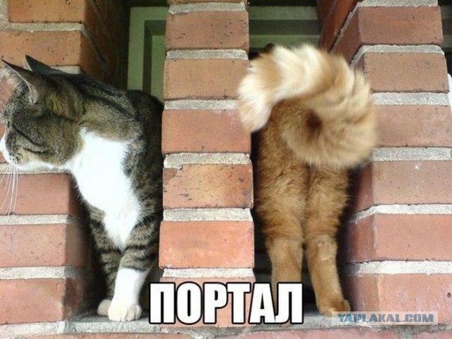 Смешные картинки