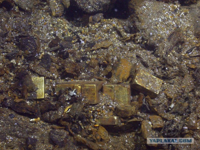 В Китае обнаружили 10 тонн золотых монет