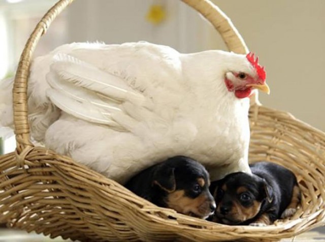 Красивые фото