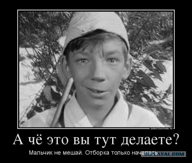 Лучшие идиоты в кино