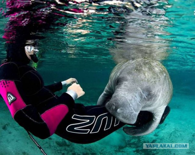 Подборка интересных и веселых фото