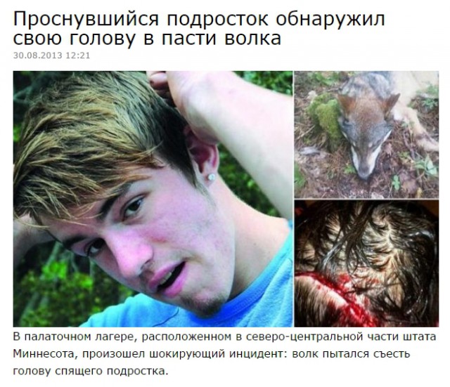 Подборка смешных и абсурдных новостей