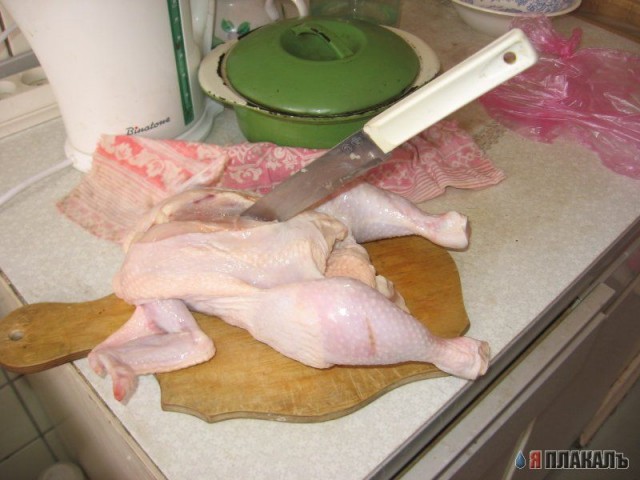 Девушка дня