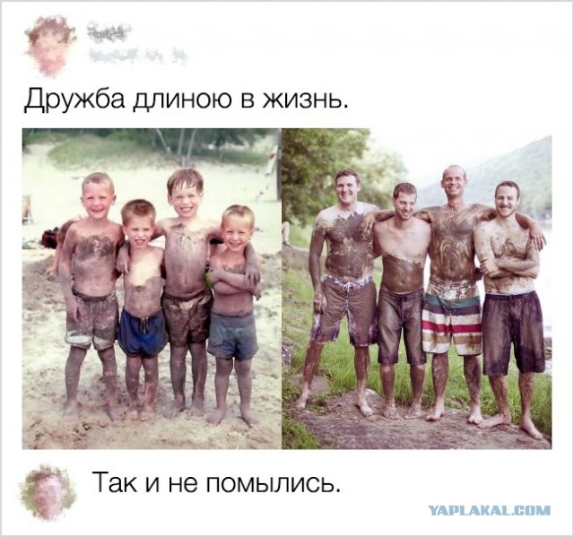Смешные комментарии из соц.сетей