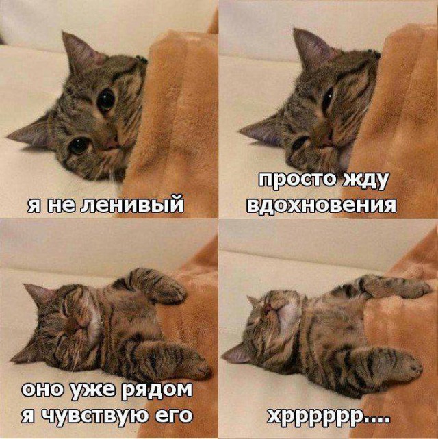 Понедельник день тяжелый. Разбавим его картинками.