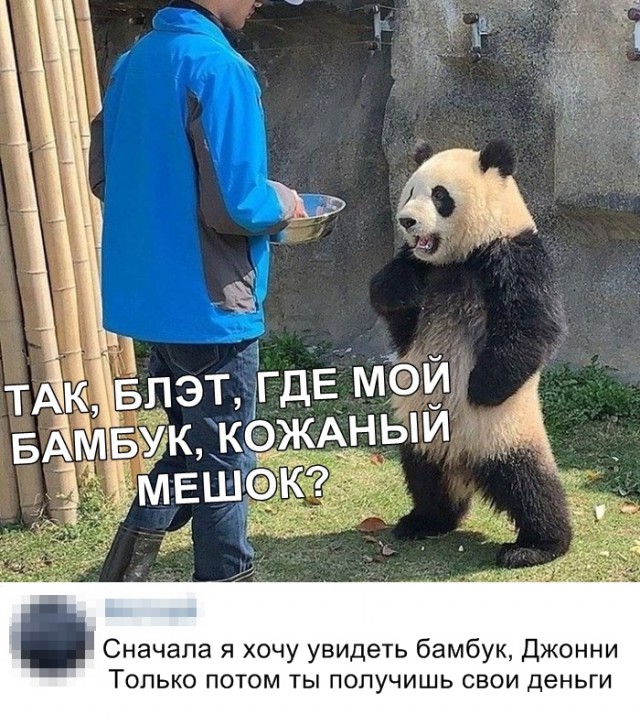 Нестандартный юмор