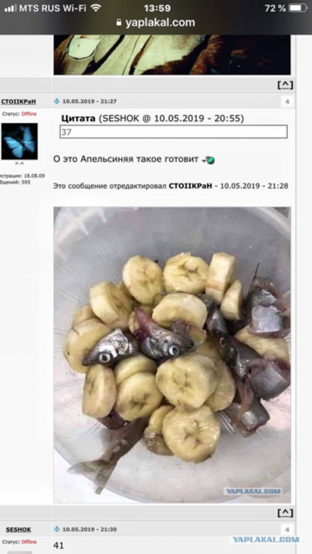 Борщ сиреневый игристый