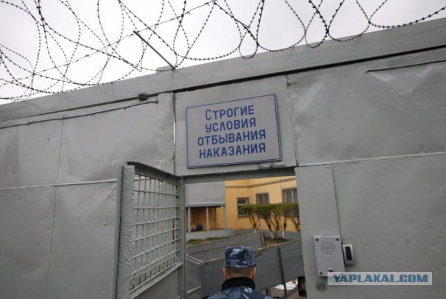 Восхитительнейший стрелок - Геннадий  Андреевич из Томска