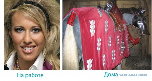 На работе и дома.