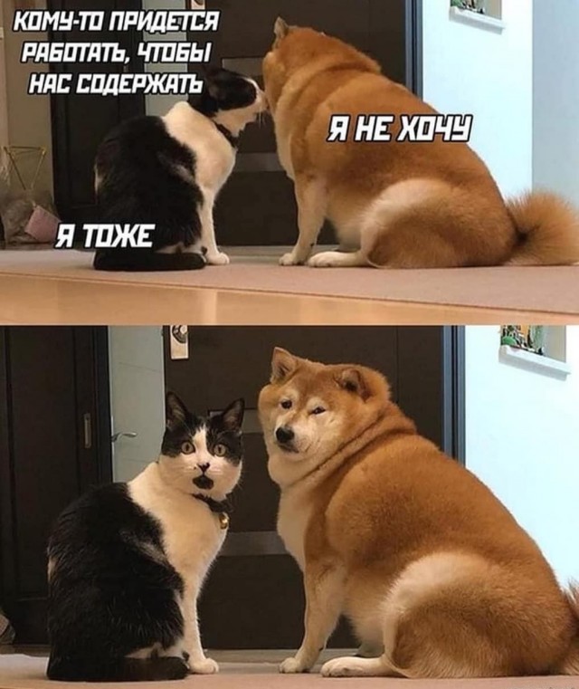 Так себе картинки 23.07.20