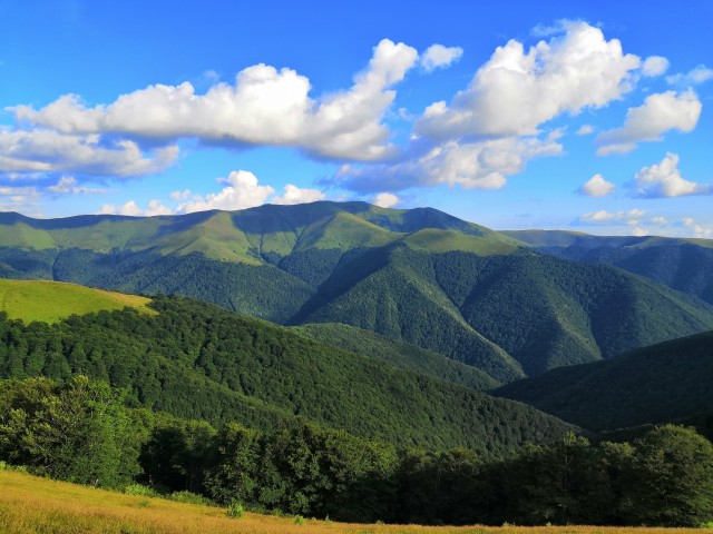 Подарок отцу