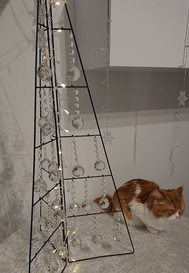 Кот, который не любит Новый год