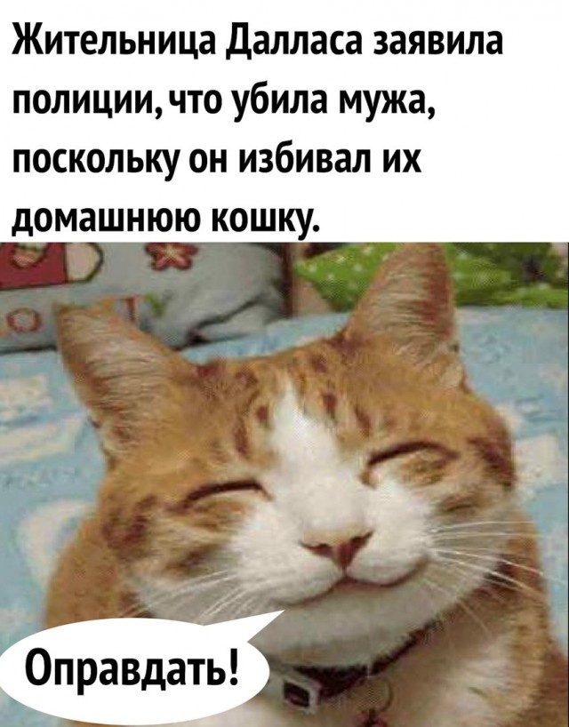 Бредзона 06.02.21