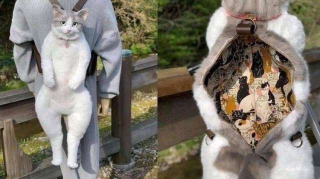 20 весёлых фотографий, которые отвлекут вас от новостной чернухи и уберегут мозг от закипания