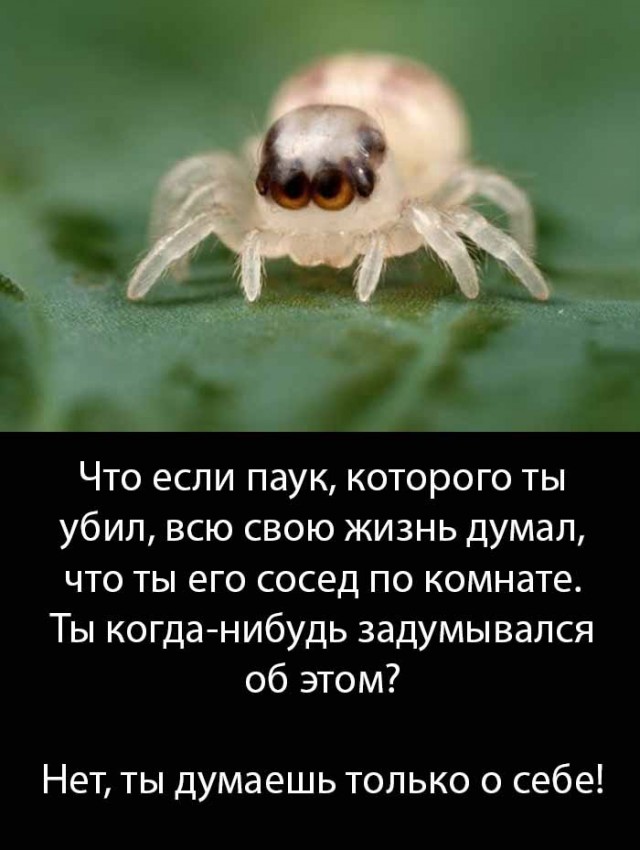 Картинки с надписями и всякие жизненные фразы 07.05.2021